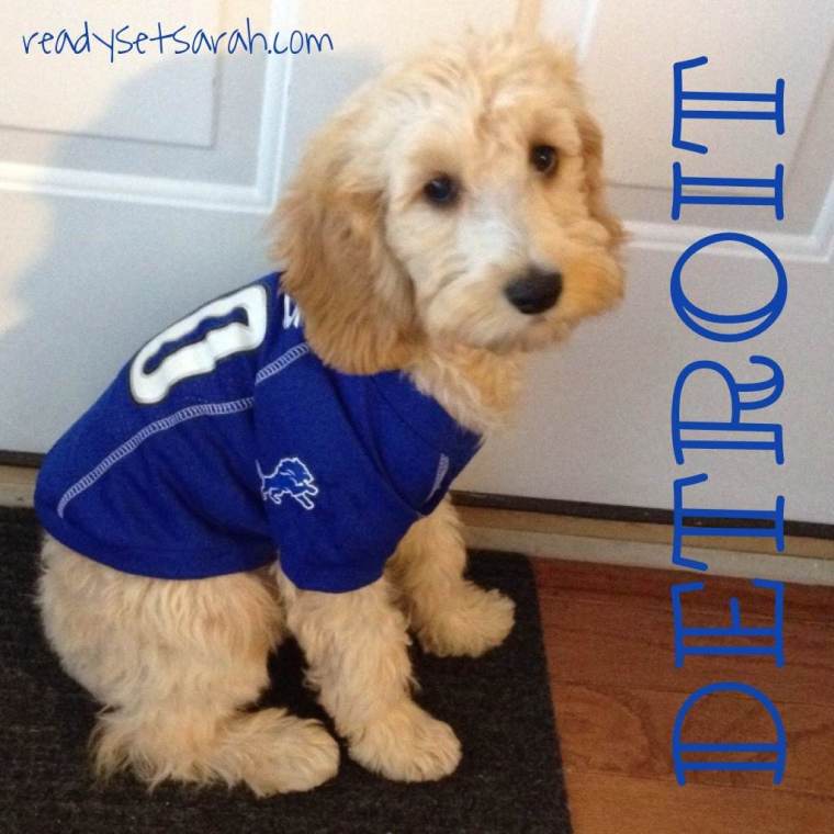 DetroitLions_ReadySetSarah