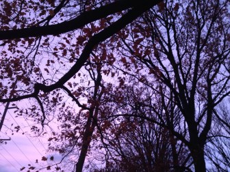 Image by Ready Set Sarah