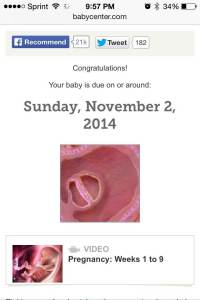 Our due date (screenshot from birthcenter.com)
