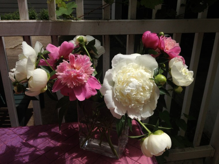 My favorite flowers. Pretty, pretty peonies!