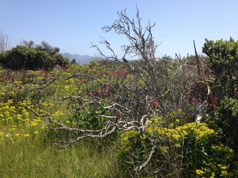 SeaBreezePark_ReadySetSarahBlog