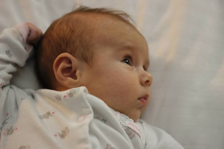 Who can resist those cheeks? I could have spent forever snuggling this little lady. (Image by Ready Set Sarah)