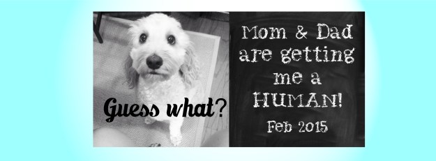 PregnancyAnnouncementReadySetSarahBlog