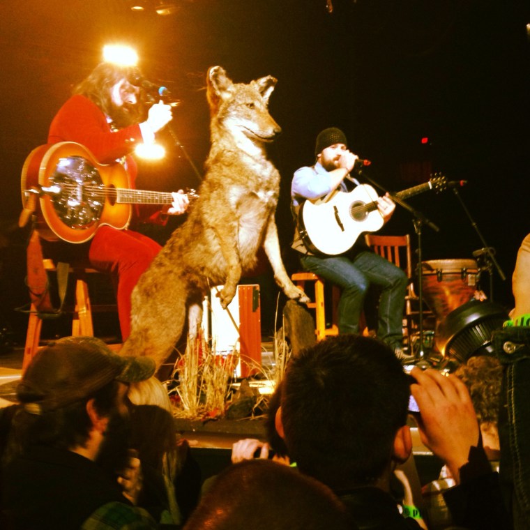 Close-up view from the general admission pit. Not too bad!