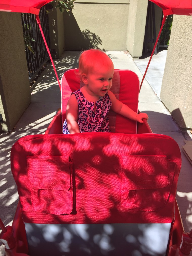 Ziva in her wagon.